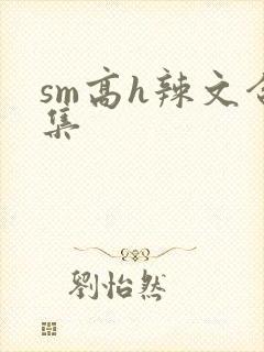 sm高h辣文合集