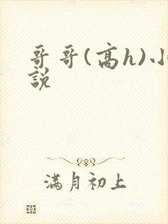 哥哥(高h)小说