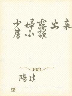 少妇露出来大乳房小说封面