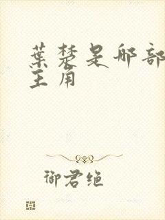 叶楚是哪部小说主角