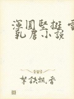 浑圆坚挺 雪白 乳房小说