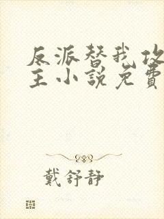 反派替我攻略男主小说免费阅读封面