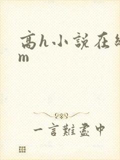 高h小说在线sm