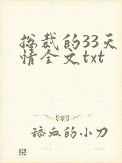 总裁的33天索情全文txt