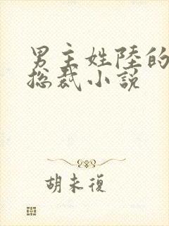 男主姓陆的霸道总裁小说