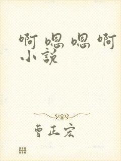 啊 嗯 嗯 啊小说封面