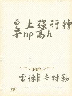 皇上强行糟蹋太子np高h