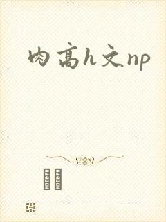 肉高h文np