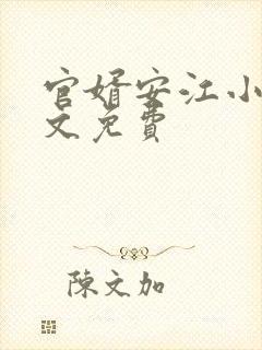 官婿安江小说全文免费