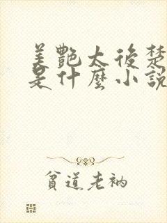 美艳太后楚清璇是什么小说