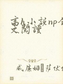 高h小说np全文阅读封面