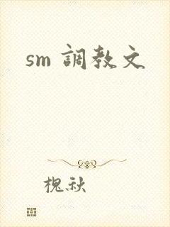 sm 调教文