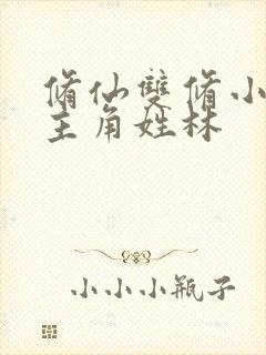 修仙双修小说男主角姓林封面