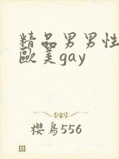 精品男男性行为欧美gay
