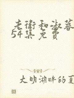 老卫和淑蓉1一54集免费