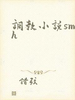 调教小说sm高h