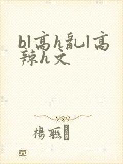 bl高h乱l高辣h文