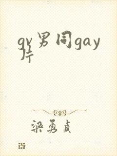 gv男同gay片