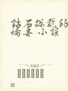 钻石总裁的甜宠娇妻 小说