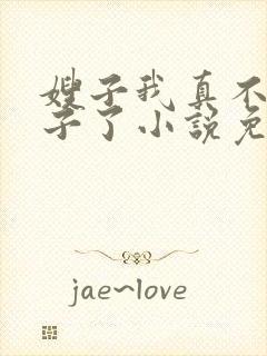 嫂子我真不是傻子了小说免费阅读