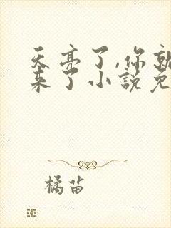 天亮了,你就回来了小说免费在线阅读