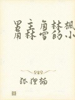 男主角林枫女主角林雪的小说