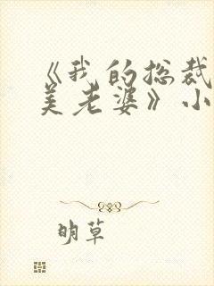 《我的总裁白富美老婆》小说