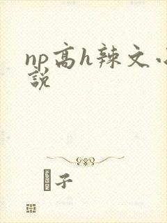 np高h辣文小说