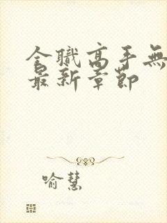 全职高手无弹窗最新章节