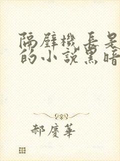 隔壁机长是饿狼的小说黑暗森林笔趣阁封面