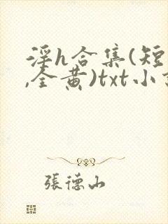 淫h合集(短篇,全黄)txt小说