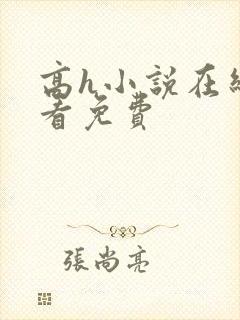 高h小说在线观看免费