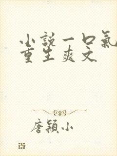 小说一口气看完重生爽文