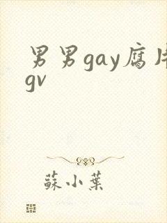 男男gay腐片gv