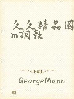 久久精品国产sm调教