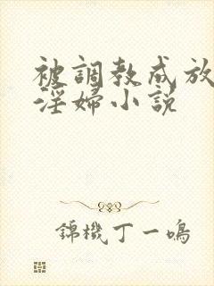 被调教成放荡小淫妇小说