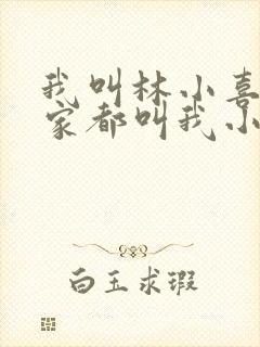 我叫林小喜 大家都叫我小喜小说