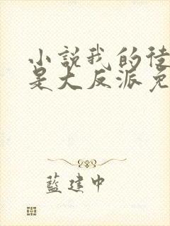 小说我的徒弟都是大反派免费版封面