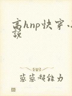高hnp快穿小说封面