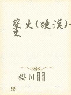 孽火(硬汉)今又