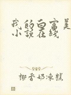 我的白富美老婆小说在线封面