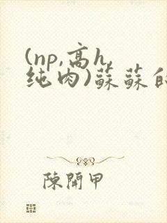 (np,高h,纯肉)苏苏的骚浪