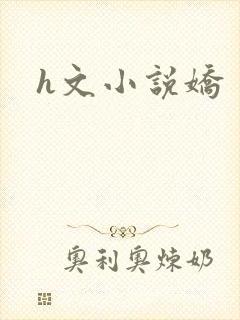 h文小说娇