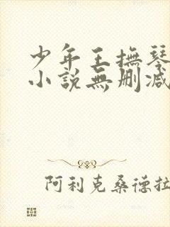 少年王抚琴的人小说无删减正版在线阅读封面