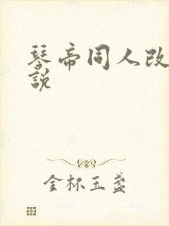 琴帝同人改编小说