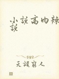 小说高肉辣文小说