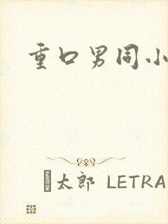 重口男同小说封面