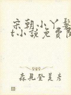 宋朝小丫鬟txt小说免费阅读