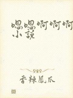 嗯嗯啊啊啊高h小说