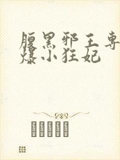 腹黑邪王专宠火爆小狂妃